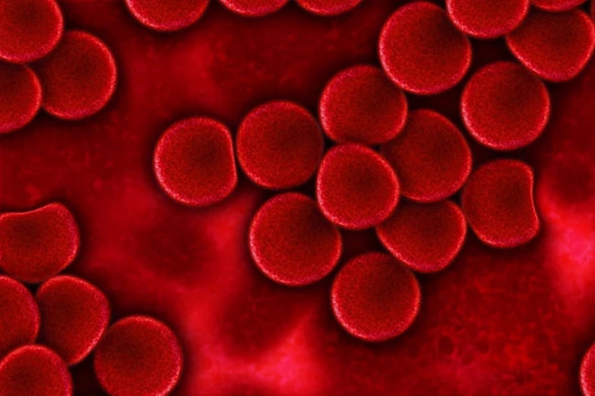 У древних людей появились новые группы крови после того, как они покинули Африку