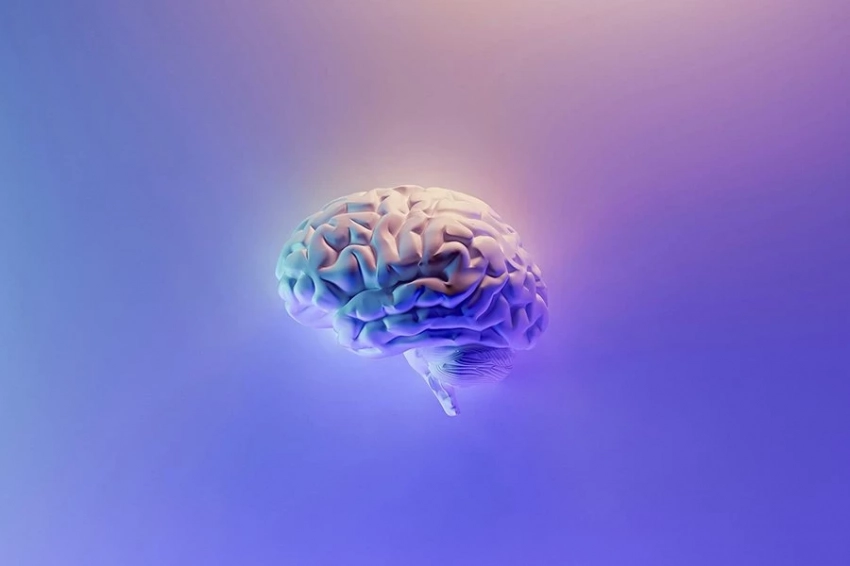 «Горячая точка» старения: где мозг впервые начинает показывать признаки старения
