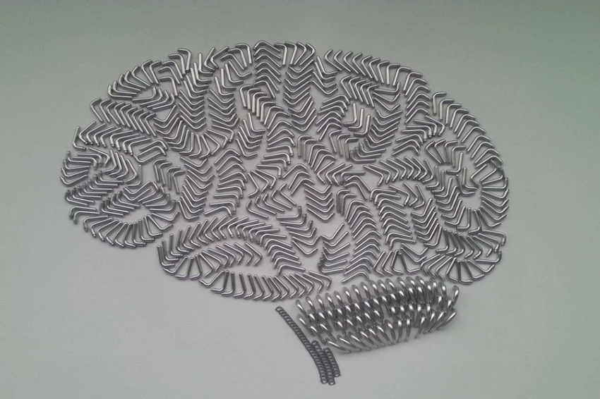 Разработан неинвазивный метод исследования головного мозга