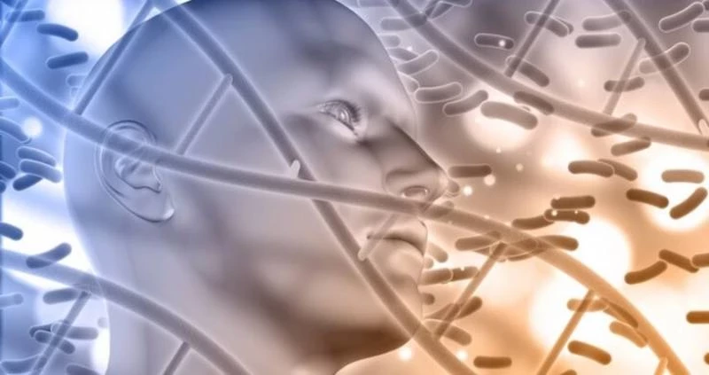 Бессмертие на горизонте: как генная инженерия и цифровые технологии меняют представление о жизни