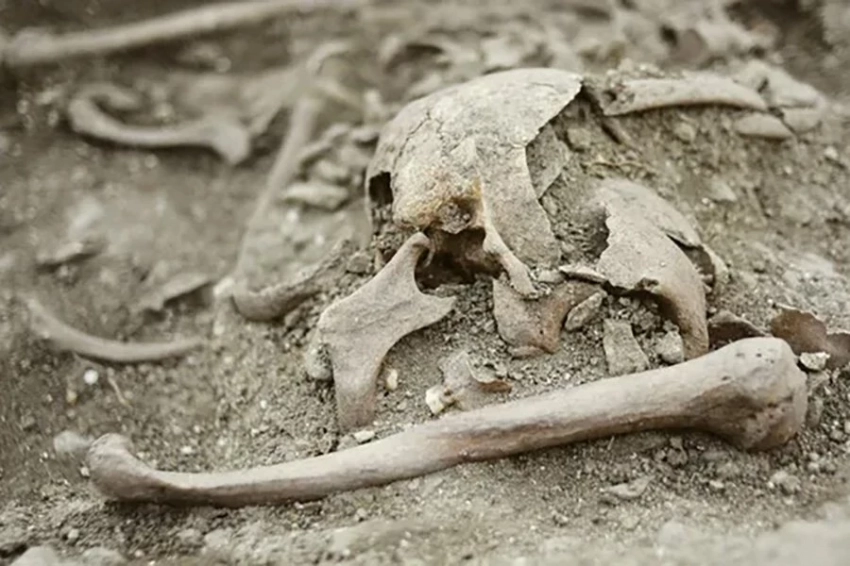 Средневековое захоронение «вампира» найдено в Хорватии