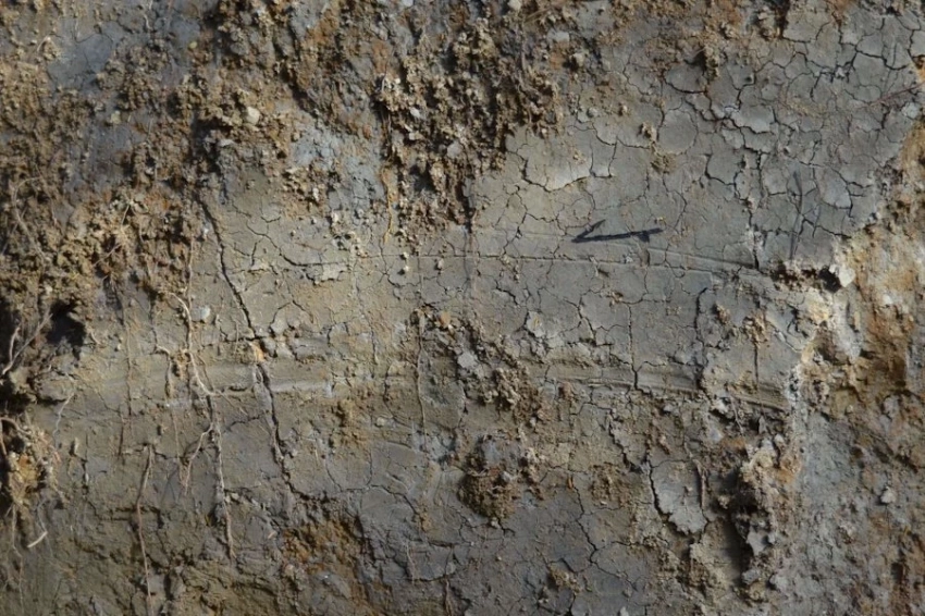 Царапины на разломах дают ключ к лучшему пониманию механики землетрясений