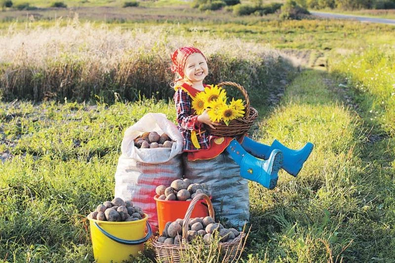 На огород и дачу больше не пустят: дачников РФ шокировало новое строгое правило