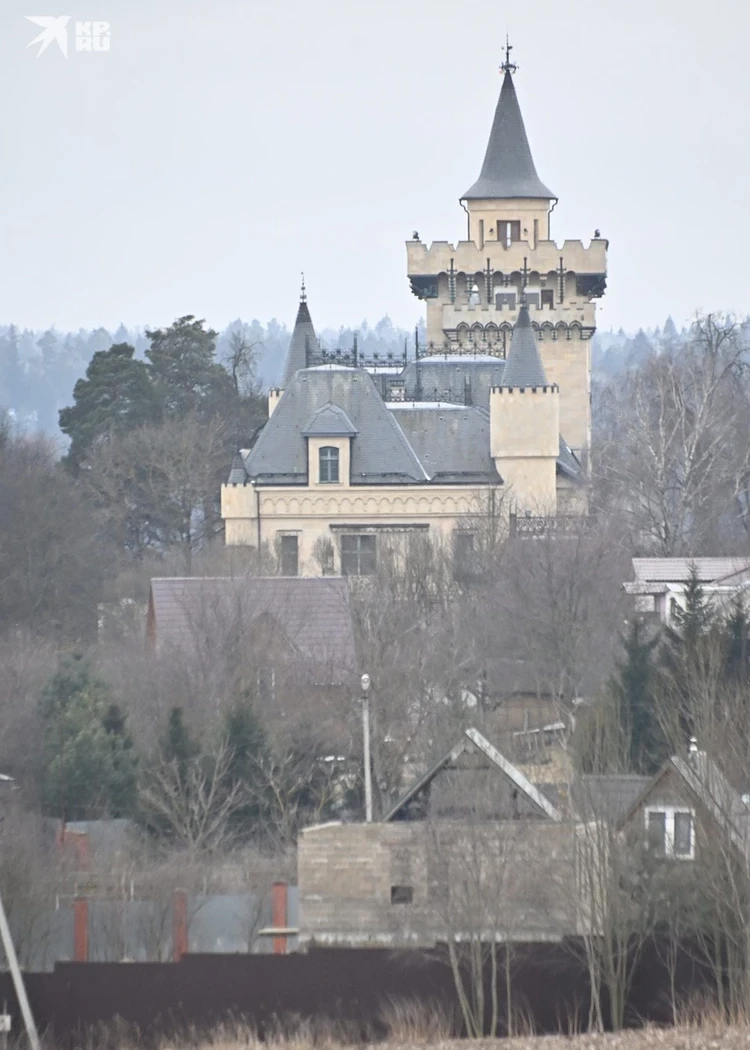 «Никто не будет рисковать»: Стало известно, почему Пугачева не может продать замок в Грязи