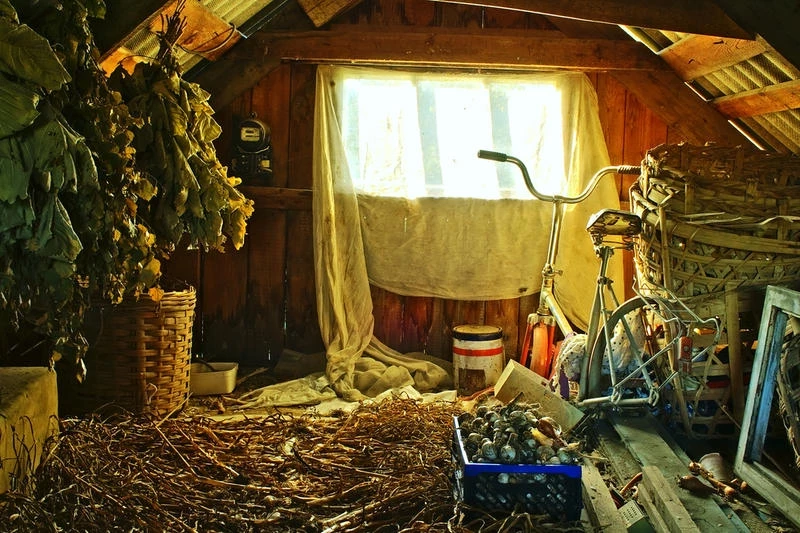 Пополнят ваш бюджет: какие старые вещи с чердака можно дорого продать